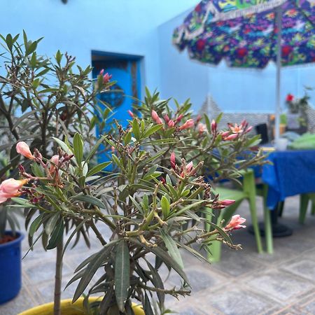 Casa Morisca Villa Sidi Ifni Bagian luar foto