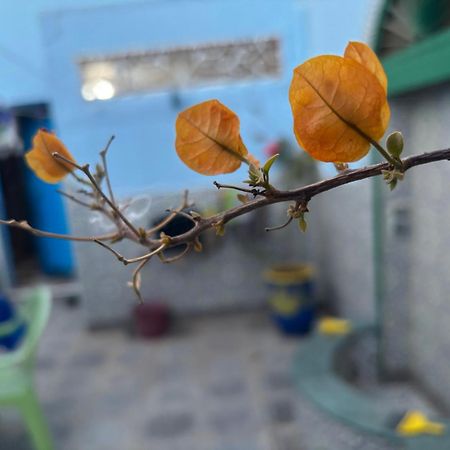 Casa Morisca Villa Sidi Ifni Bagian luar foto