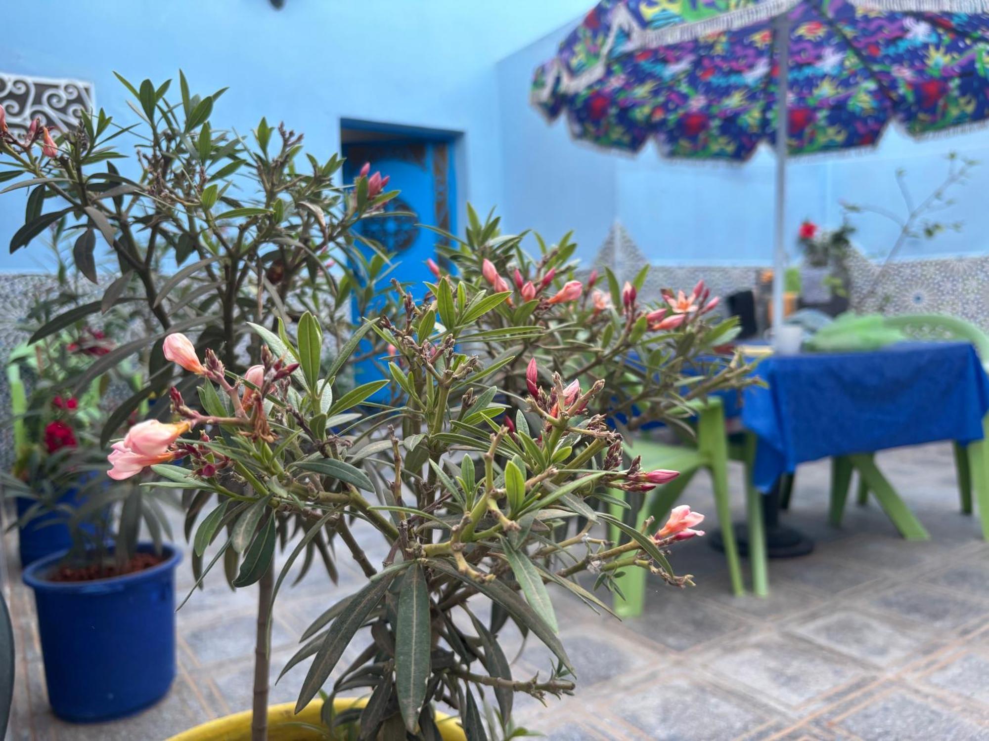 Casa Morisca Villa Sidi Ifni Bagian luar foto