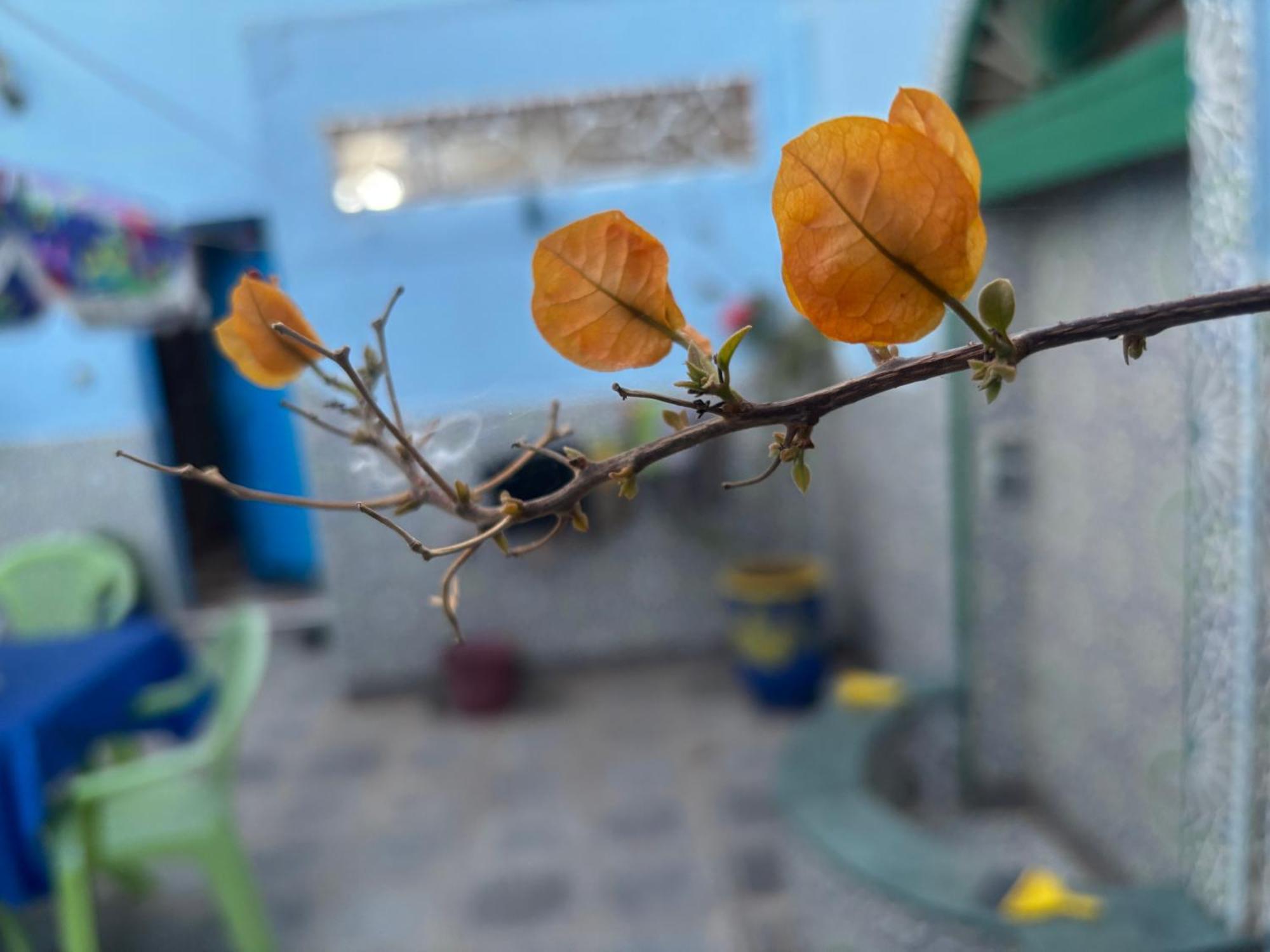 Casa Morisca Villa Sidi Ifni Bagian luar foto