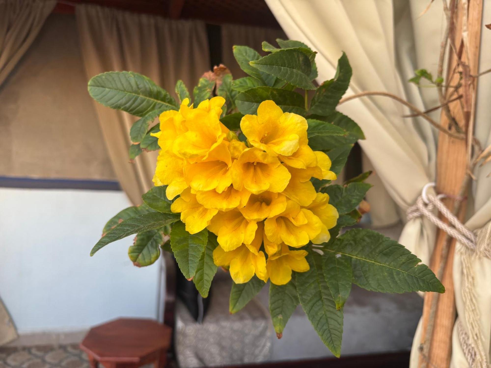 Casa Morisca Villa Sidi Ifni Bagian luar foto